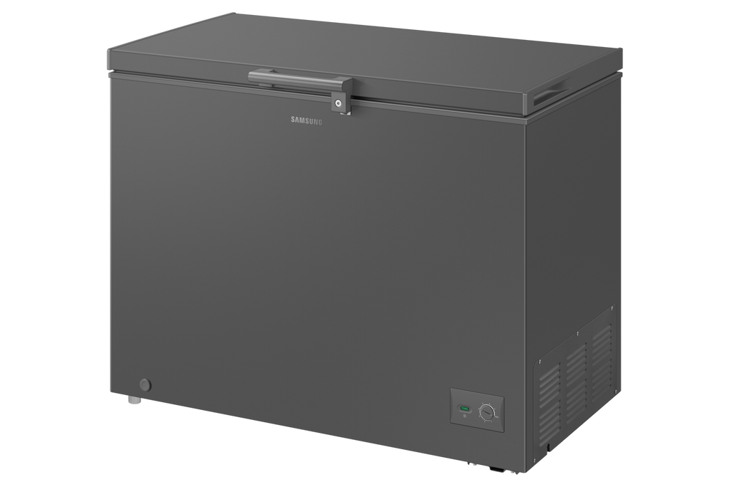 Samsung RI70F29V2GAUT 10.1 cu. ft. Chest Freezer Dark Grey